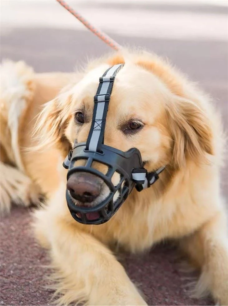Custom Dog Muzzle